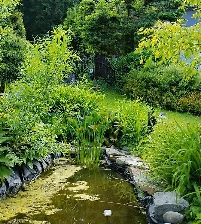 Privatunterkunft Jasminowe Wzgorze Bad Altheide