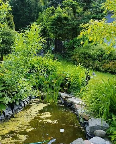 Alloggio in famiglia Jasminowe Wzgorze Polanica-Zdrój